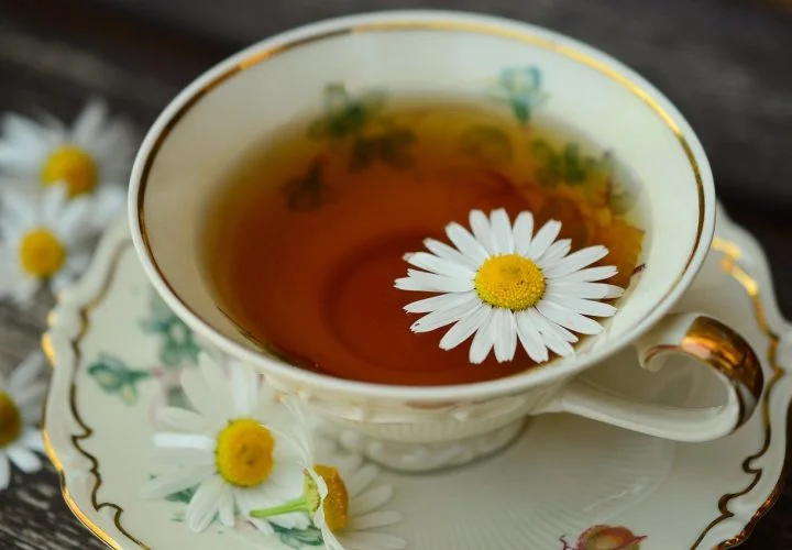 Ce poți mânca când ai gastrită? Ghid complet de nutriție și plante medicinale - Nutri Coach - Nutritionist Online Bucuresti