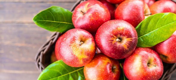 Plan Dieta personalizata online - Nutri Coach - Nutritionist Online Bucuresti